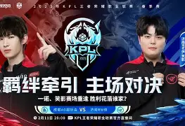 勒沃库森转会消息