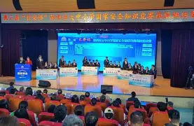 纽卡斯尔喷气机对西部联直播