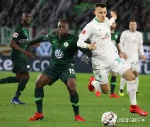 沃尔夫斯堡足球队 官网