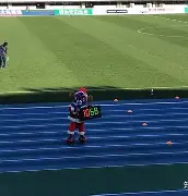 开云-日本ih篮球